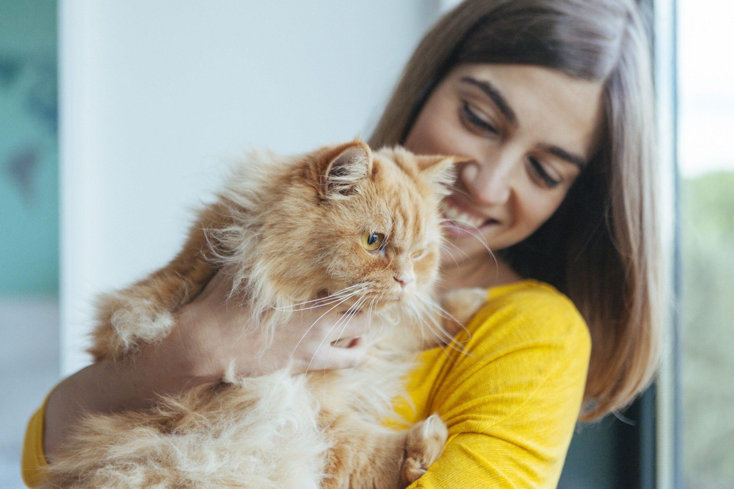 Chi ha bisogno di sapere sull’adozione del tuo gatto?
