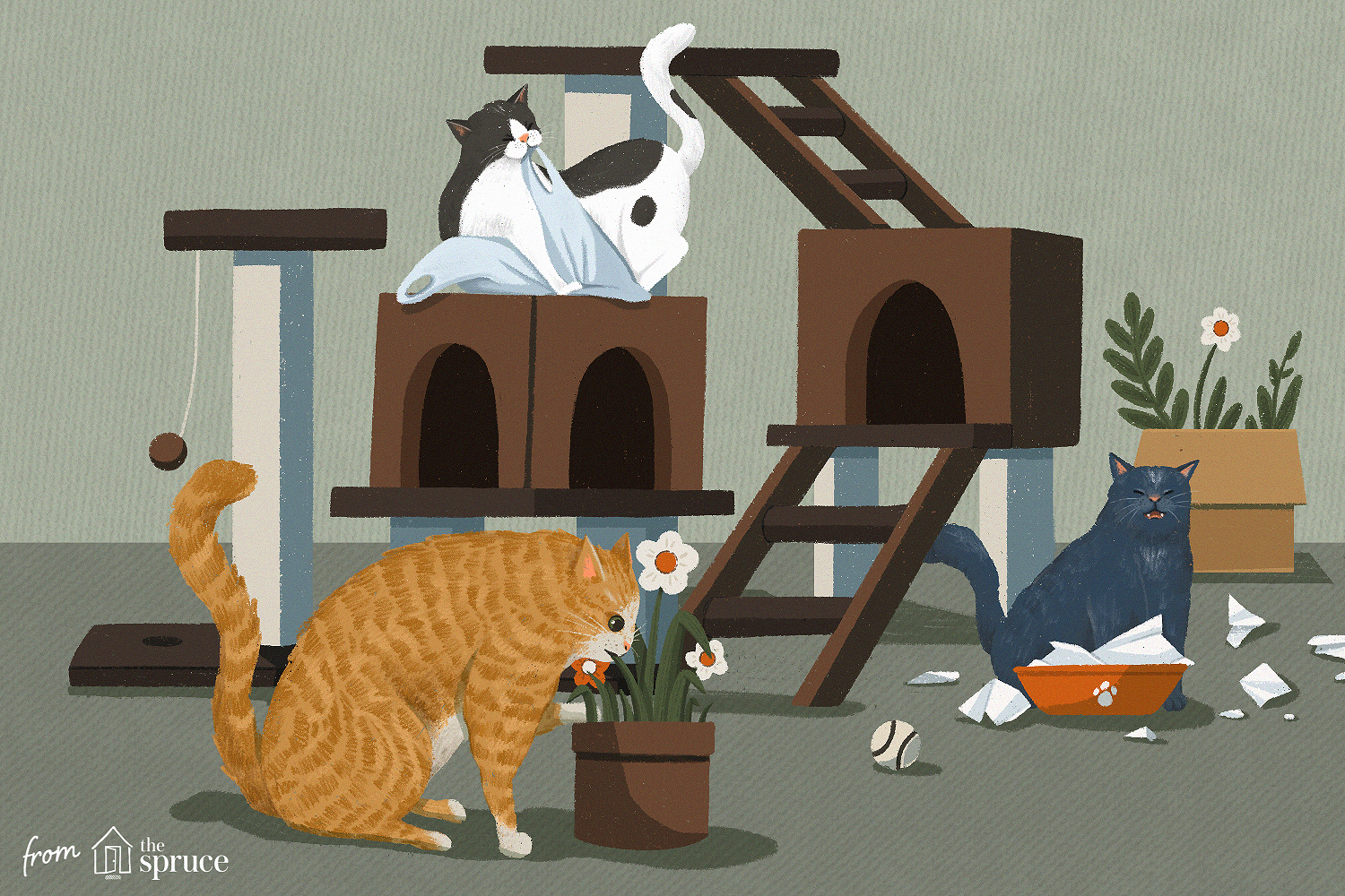 10 strani comportamenti e stranezze dei gatti spiegati