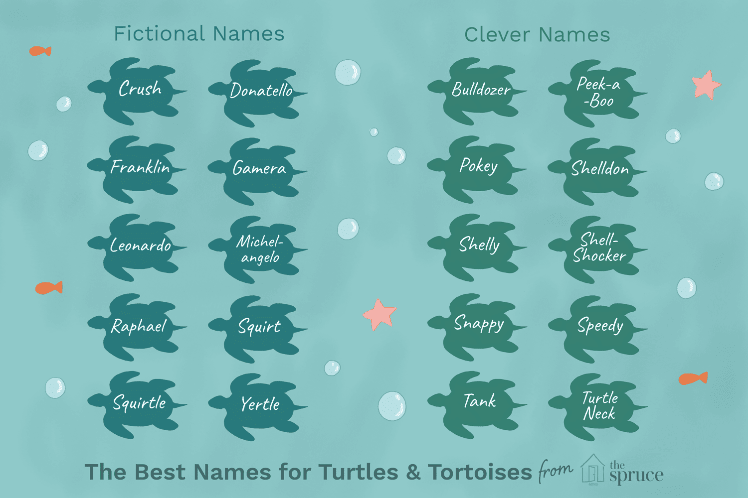 100 nomi per tartarughe e tartarughe