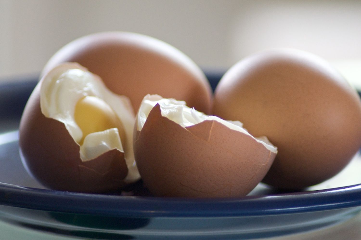 Benefici nutrizionali delle uova per cani
