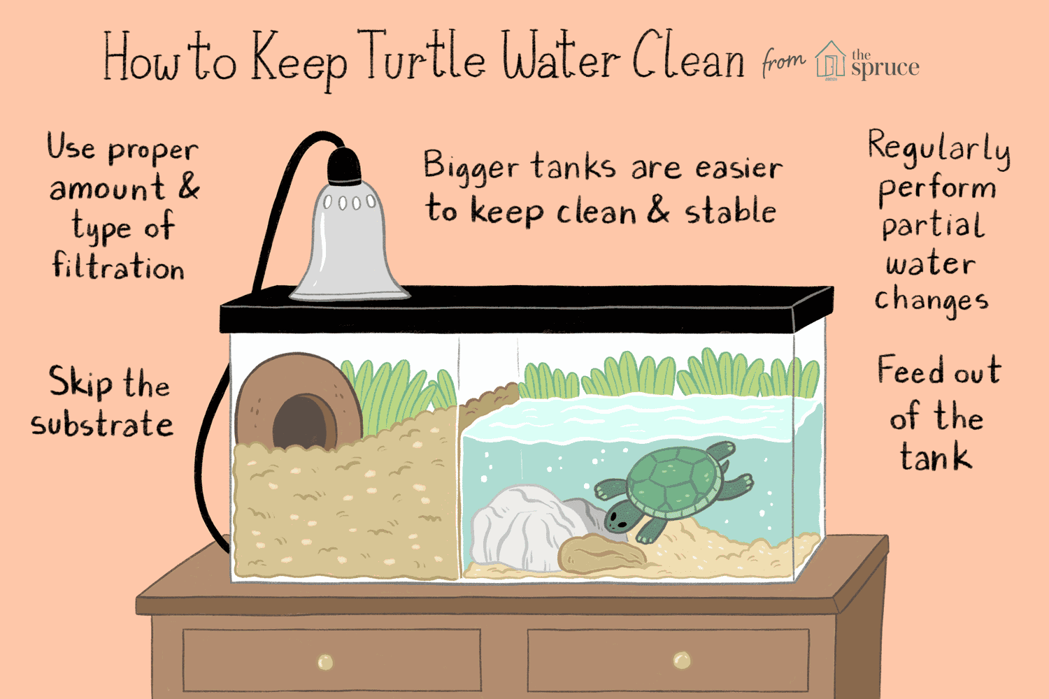 Perché la tua tartaruga domestica ha bisogno di acqua pulita del serbatoio