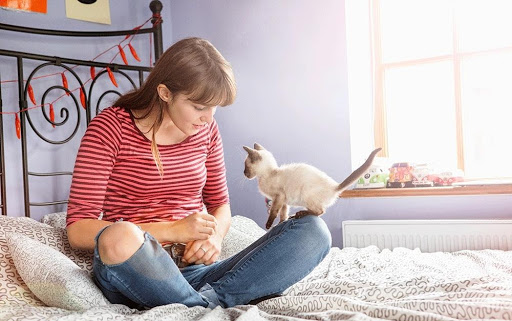 5 modi per tenere occupato il tuo gatto mentre sei occupato