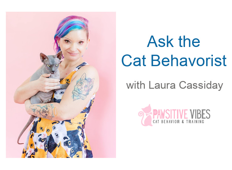 Chiedi al comportamentista del gatto con Laura Cassiday
