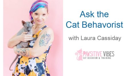 Chiedi al comportamentista del gatto con Laura Cassiday